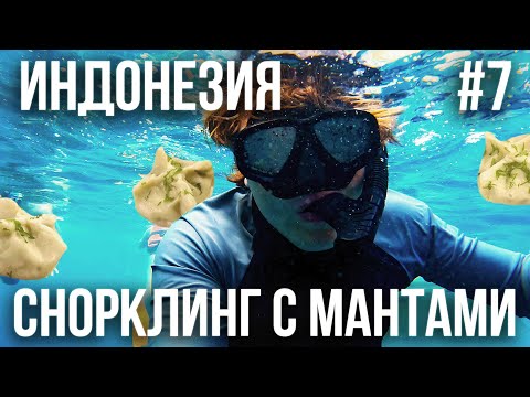 Видео: ИНДОНЕЗИЯ 2025 #7. НУСА ПЕНИДА. СНОРКЛИНГ С МАНТАМИ И НЕ ТОЛЬКО. ВЕЛИКОЛЕПНЫЙ ЗАКАТ В БАССЕЙНЕ
