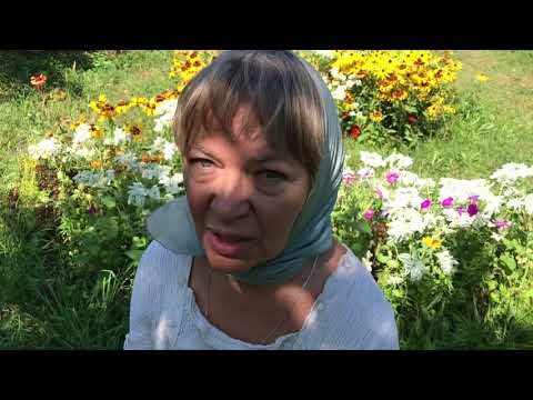 Видео: О том, что мы едим ежедневно.