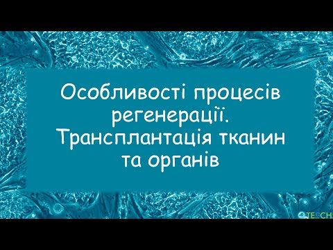 Видео: Регенерація органів і тканин. Трансплантація