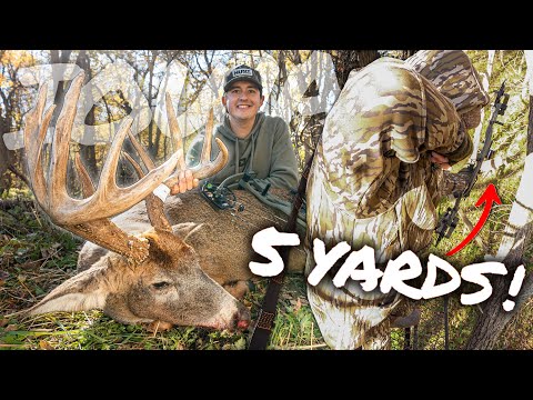 Видео: Айова БРУИЗЕР на 5 ярдов, ноябрьское искупление | Hunt Collective LIVE ’25