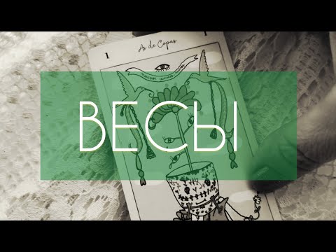 Видео: НОЯБРЬ прогноз на месяц