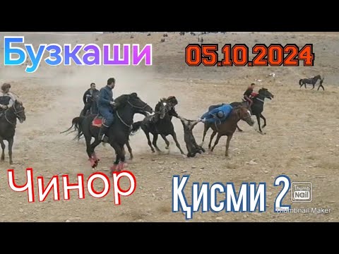 Видео: Бузкаши Панҷакент Улок Чинор 05.10.2024