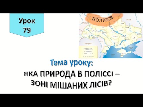 Видео: Урок 79. ЯКА ПРИРОДА В ПОЛІССІ ЗОНІ МІШАНИХ ЛІСІВ? Я досліджую світ 4 клас.