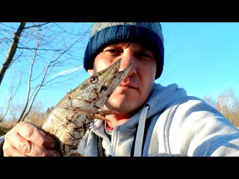 Видео: Щучка Окунь и Плотва. Р. Кубрь. Отдых природа