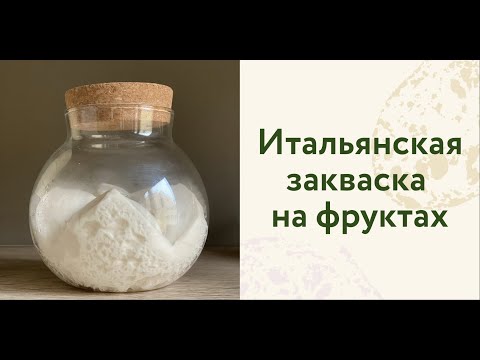 Видео: Мастер-класс «Итальянская закваска на фруктах» 13.12.22