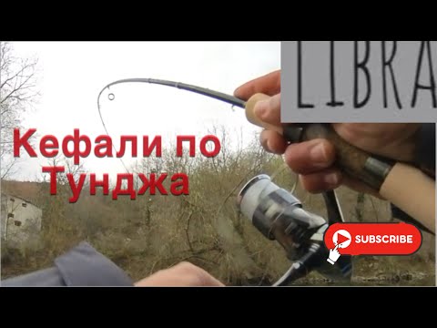 Видео: Кефали по р. Тунджа