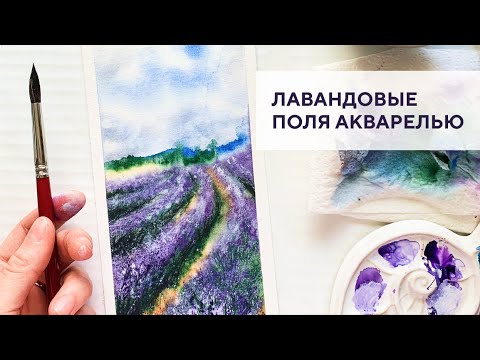 Видео: Лавандовые поля / Lavender fields