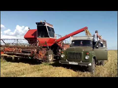 Видео: КОЛГОСП с.Ридомиль польові роботи, зруйновані будівлі