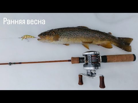 Видео: Ранняя весна