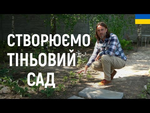 Видео: ЛАНДШАФТНИЙ ДИЗАЙН | РОСЛИНИ ДЛЯ ТІНІ. СТВОРЮЄМО ТІНЬОВИЙ САД