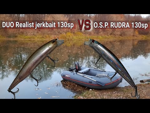 Видео: DUO Realis jerkbait 130 sp против O.S.P. Rudra 130sp. Воблерная заруба.