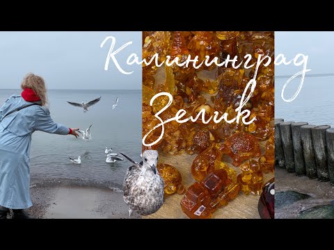 Видео: Калининград 🩷 ЗЕЛЕНОГРАДСК