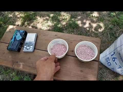 Видео: Подкормка винограда  после цветения