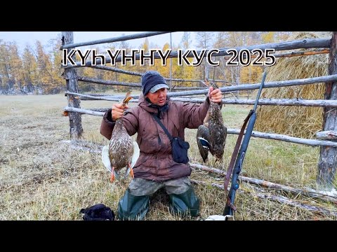 Видео: Күһүҥҥү кус - 8/9 ч I Аарыма улахан көҕөттөрү бултаатым I Охота на уток в Якутии