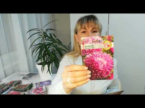 Видео: Самые красивые астры от #Биотехника