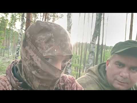 Видео: Охота на волка на вабу. Хитрая волчица. И опыт на нуле.#охотанаволка#волк#вабанаволка#охота#ваба