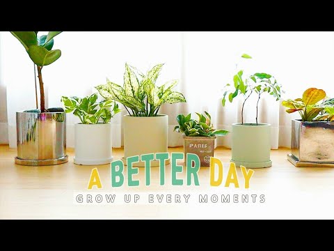 Видео: То, как я делаю шаги, чтобы расти в обычной жизни: открытие чего-то нового