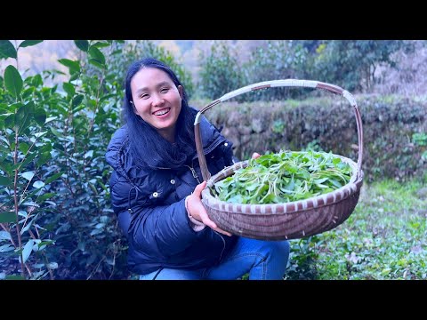 Видео: Природная дичь весной, выбираемая вручную по одной! Нежный и вкусный