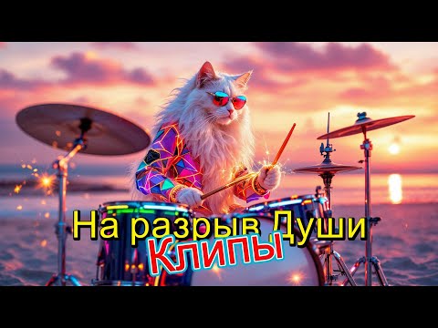Видео: ТЮЛЬПАН СКЛОНИЛСЯ К РОЗЕ БЕЛОЙ   Клипы для ДУШИ ТОП   10 Music Videos #русские_песни #музыка #music