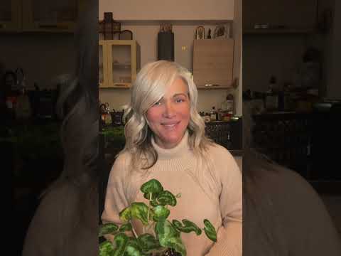 Видео: Злая мать- стыдобища, горе семьи и мира.