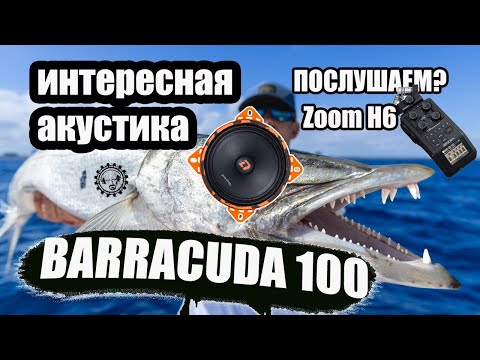 Видео: Barracuda 100! Новинка!  Ушатает твою Штатку))