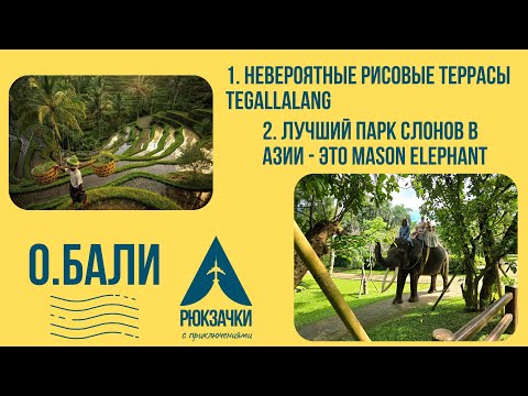 Видео: Остров Бали и его визитная карточка Tegallalang, а также самый лучший парк слонов Mason Elephant