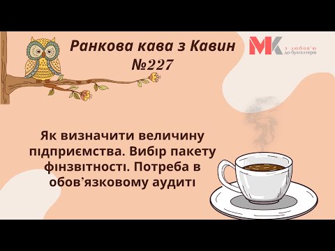 Видео: Як визначити величину підприємства. Вибір пакету фінзвітності. Потреба в обов’язковому аудиті