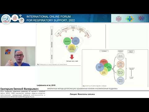 Видео: Фенотипы сепсиса Григорьев Е.В.