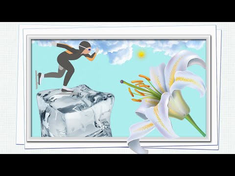 Видео: Хуньчунь / Хуньчуньские зарисовки / Болтаем с Витей / 01.12.24 2 серия