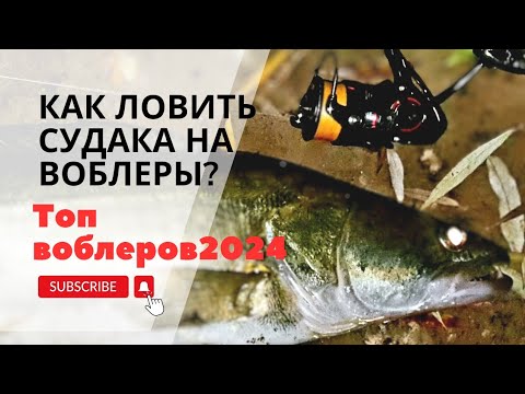 Видео: Топ- воблеров для судака зимой. Секреты успешной ловли.