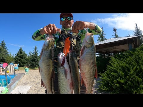 Видео: Ловля ЖЕРЕХА! Рыбалка на Спиннинг / РЕКА ДОН. Часть вторая. #nekfish