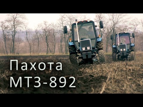 Видео: Пахота! Трактор МТЗ-892