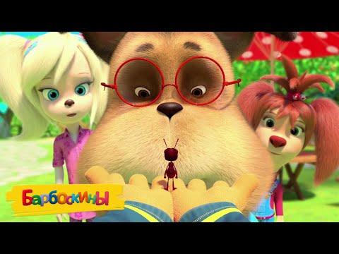 Видео: Барбоскины | Загадочные серии | Сборник мультиков для детей