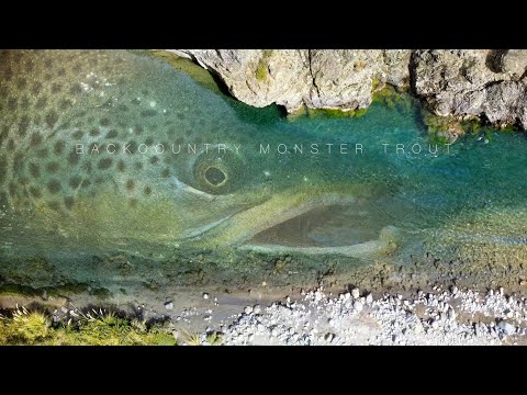 Видео: Backcountry Monster Trout 2 (Новая Зеландия, эпизод 15)