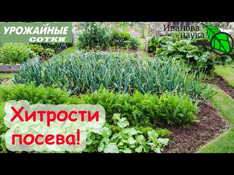 Видео: ШОК! Эти растения лучше посеять под зиму ,чем не посеять вообще!