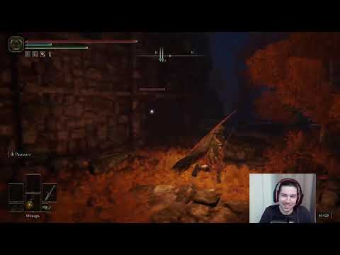 Видео: Elden Ring на опыте [02.11.2025]