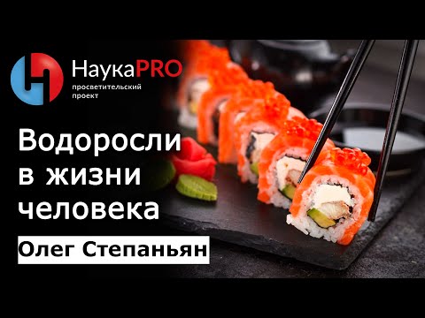 Видео: Морские водоросли в жизни человека | Лекции по биологии – биолог Олег Степаньян | Научпоп