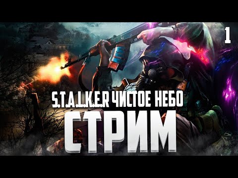 Видео: Стрим STALKER Чистое Небо Прохождение