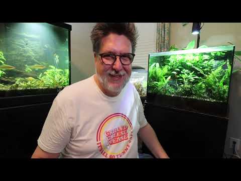 Видео: Что дальше?