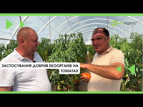 Видео: 🍎🌶️Овочеві культури в теплицях із застосуванням добрив ЕКООРГАНІК