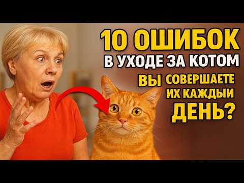 Видео: 10 ОШИБОК в уходе за котом: Вы совершаете их каждый день? 🙀