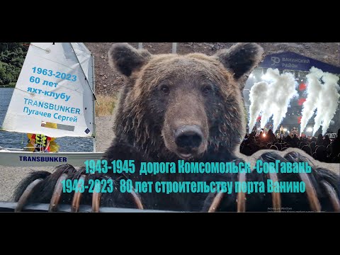Видео: Ванино среди диких зверей 2023г. Путь к Тихому океану.