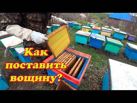 Видео: КАК БЫСТРО РАСШИРИТЬ ПЧЕЛОСЕМЬЮ ВЕСНОЙ, НЕ РАЗРЫВАЯ ГНЕЗДА ПЧЁЛ.