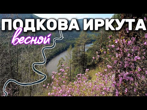 Видео: Сиреневый туман. Необычная тропа. Подкова Иркута. Май 2025