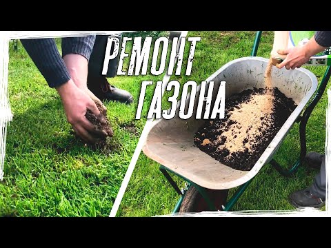 Видео: Ремонт газона | Как я ремонтирую газон весной