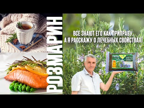 Видео: Розмарин – защищает от старости, улучшает память, снижает стресс. Рассказывает Геннадий Гарбузов