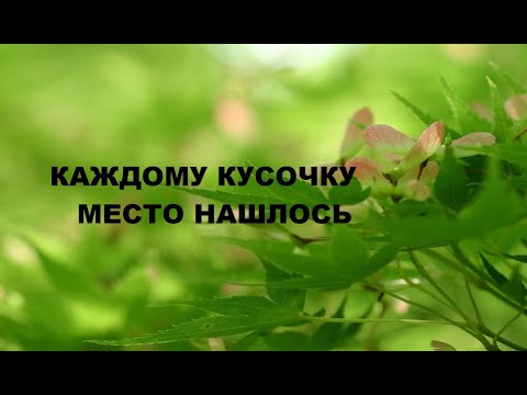 Видео: Переработка остатков.(2023г)