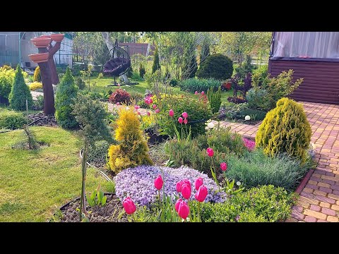 Видео: Май теплом не балует😔Но мы не унываем,делаем посадки, наводим красоту!!!🌸🌞🌿🦋 #дачныебудни