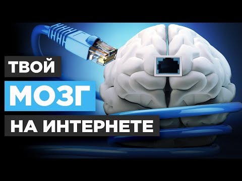Видео: Что интернет делает с твоим мозгом