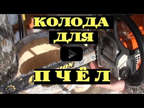 Видео: КАК СДЕЛАТЬ КОЛОДУ ДЛЯ ПЧЁЛ БЕНЗОПИЛОЙ STIHL 180 #1